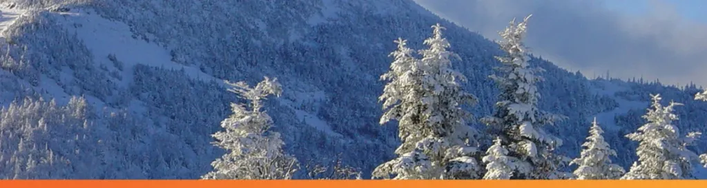 vermont winter landscape