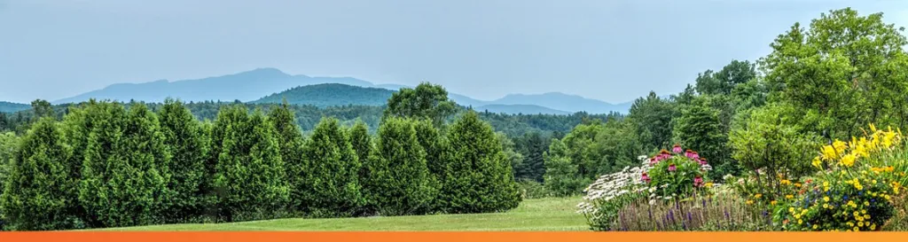 Vermont summer landscape