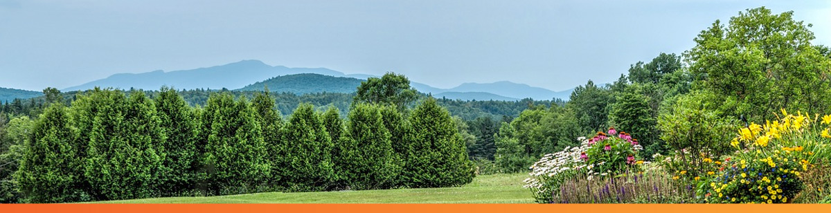 Vermont summer landscape